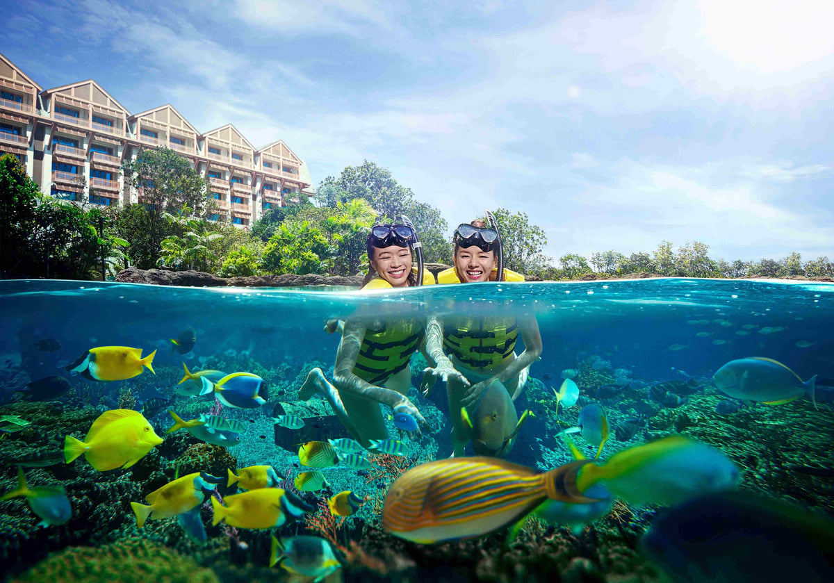 Adventure Cove Waterpark Admission Ticket
