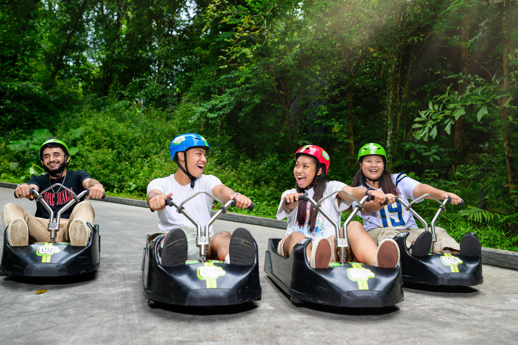 Skyline Luge with Skyride