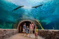 River Wonders Admission Ticket