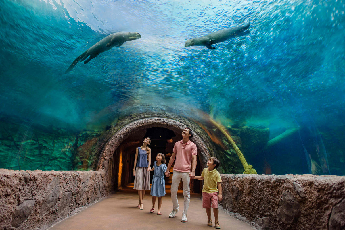 River Wonders Admission Ticket