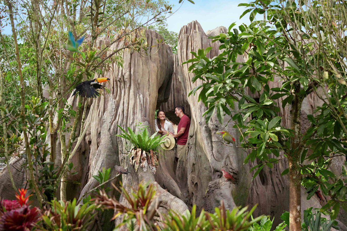 Bird Paradise Admission Ticket