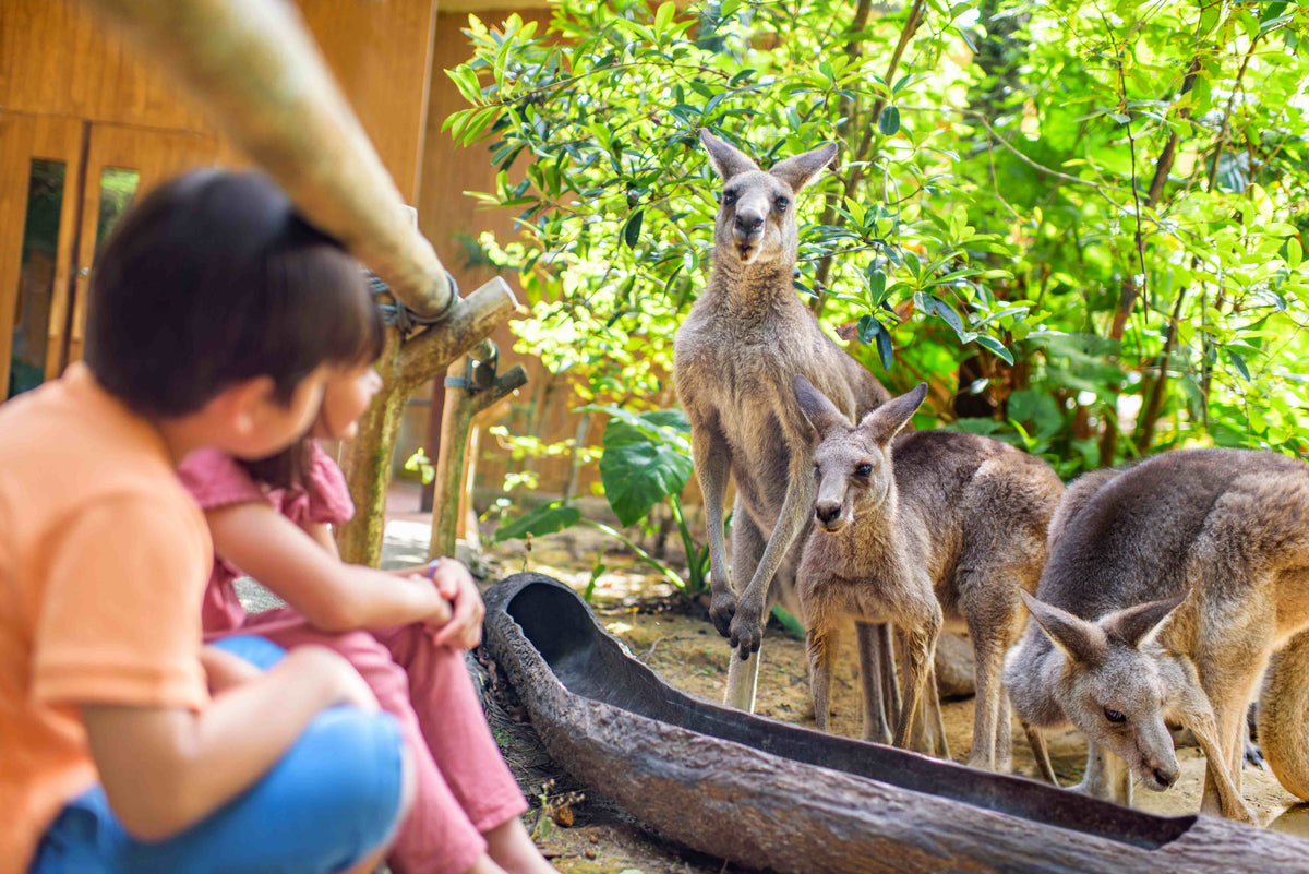 Singapore Zoo Admission Ticket