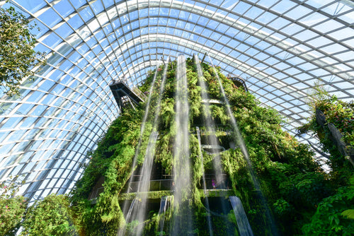 Gardens by the Bay (Flower Dome + Cloud Forest - Jurassic World: The Experience) Admission Ticket