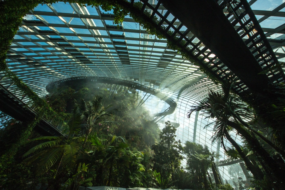 Gardens by the Bay (Flower Dome + Cloud Forest - Jurassic World: The Experience) Admission Ticket