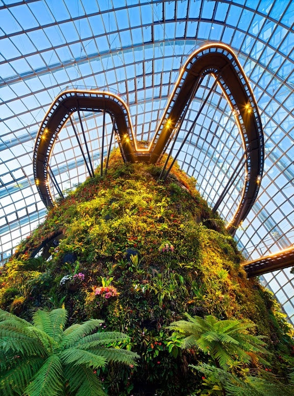 Gardens by the Bay (Flower Dome + Cloud Forest - Jurassic World: The Experience) Admission Ticket