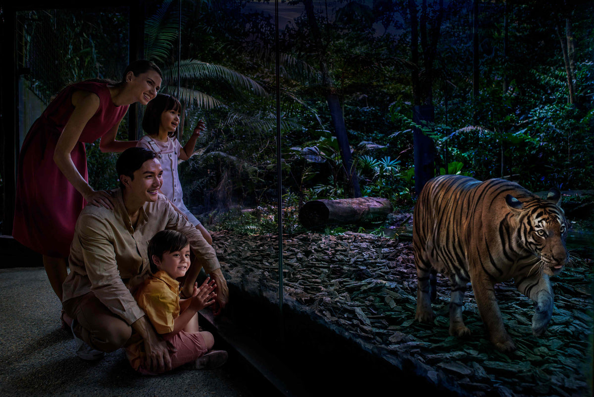 Night Safari (including Tram Ride) Admission Ticket