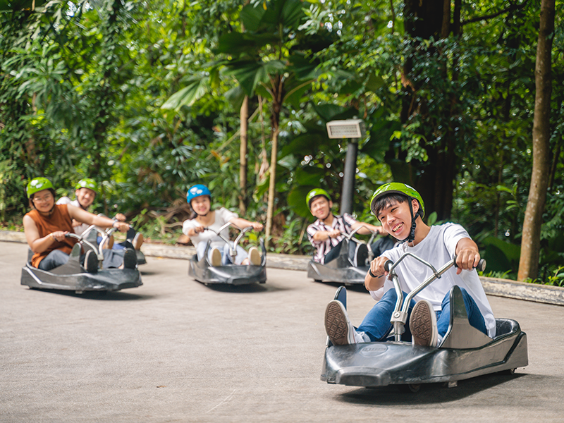 Skyline Luge with Skyride