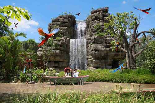 Bird Paradise Admission Ticket