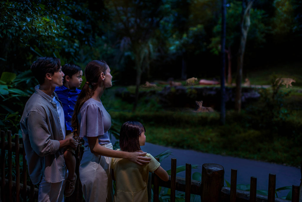 Night Safari (including Tram Ride) Admission Ticket