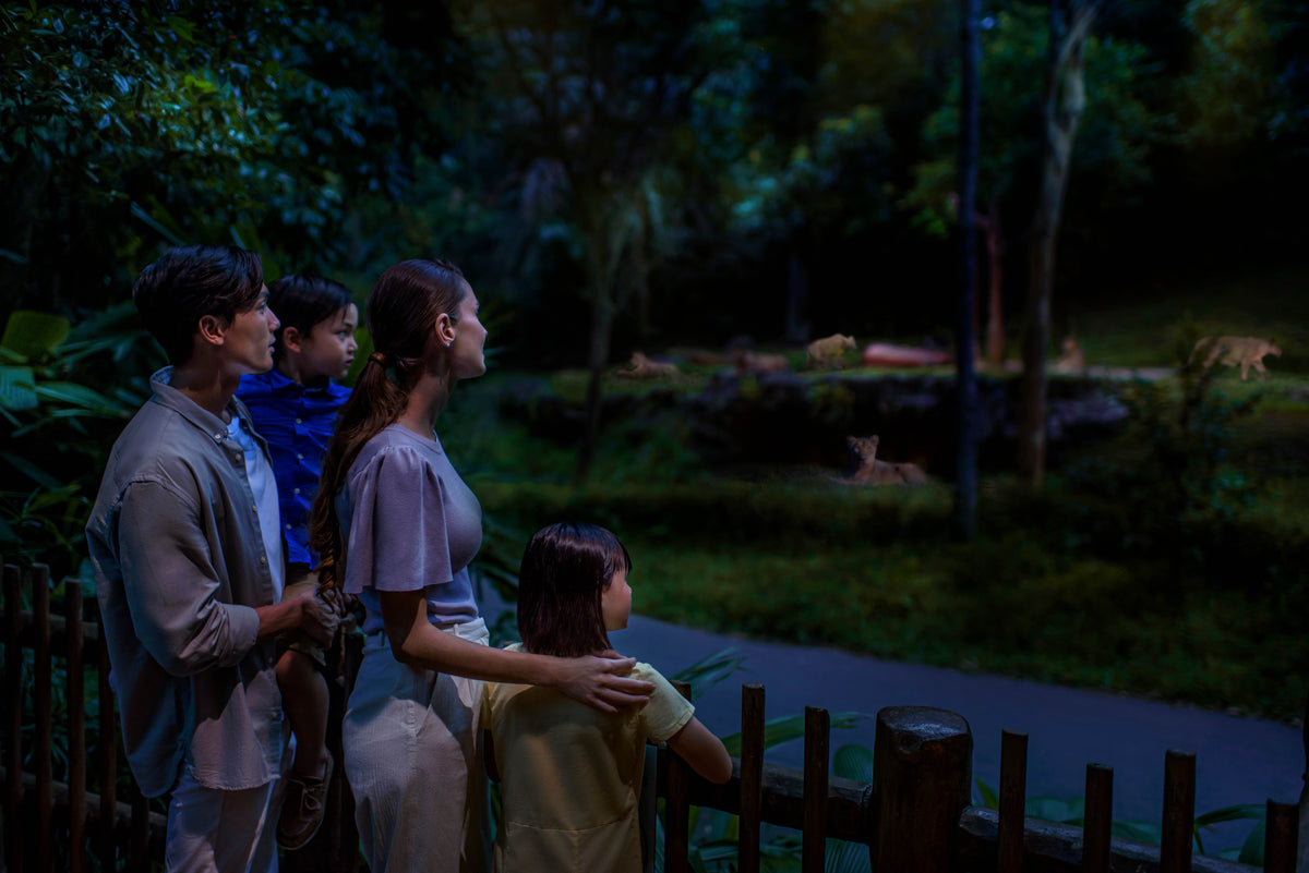 Night Safari (including Tram Ride) Admission Ticket
