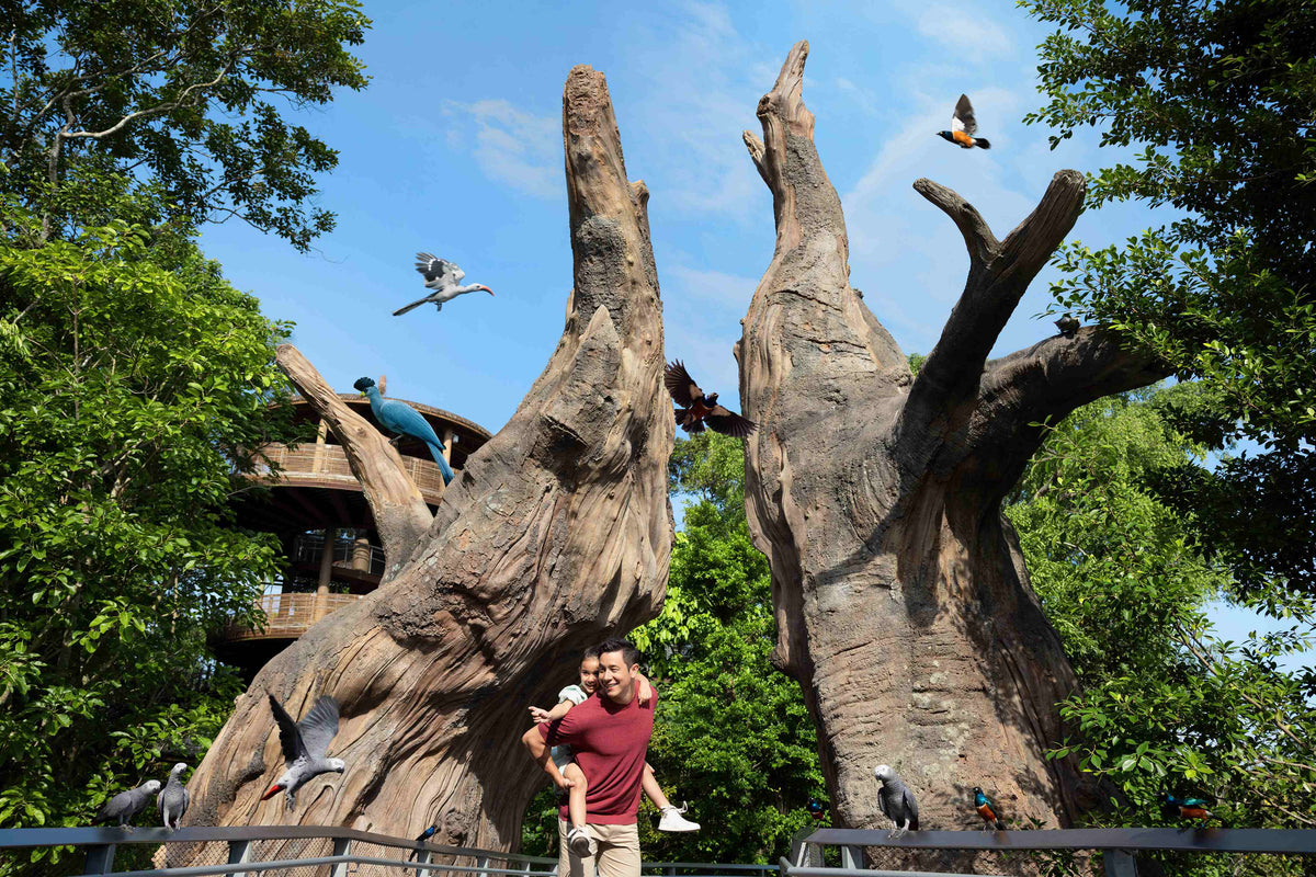Bird Paradise Admission Ticket