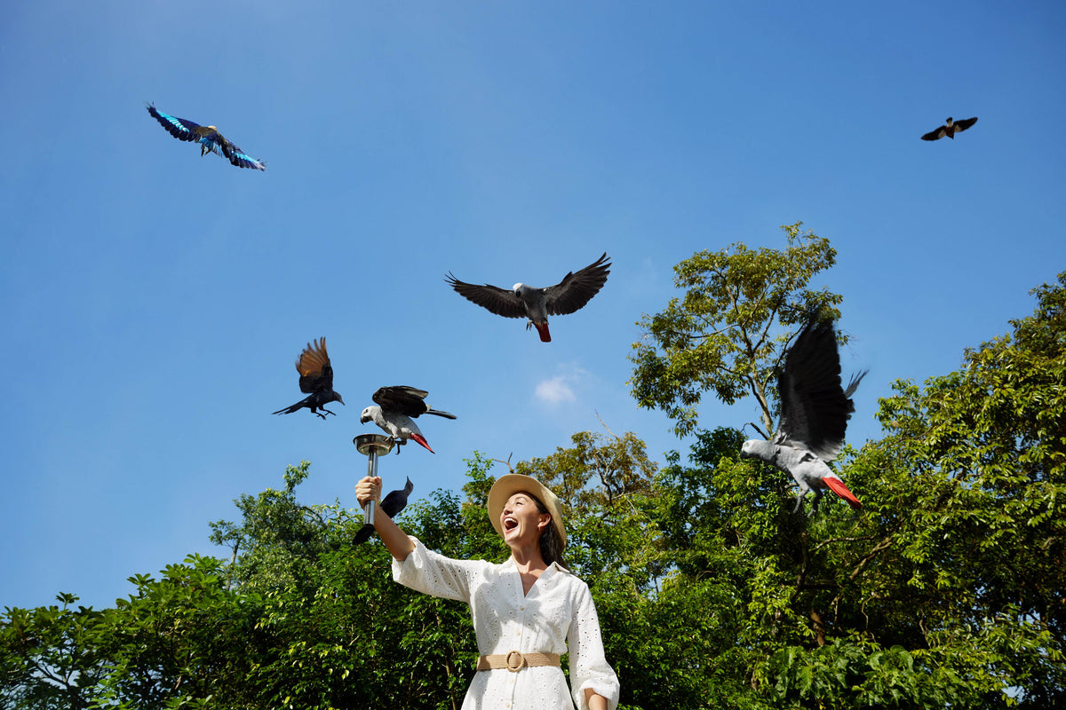 Bird Paradise Admission Ticket