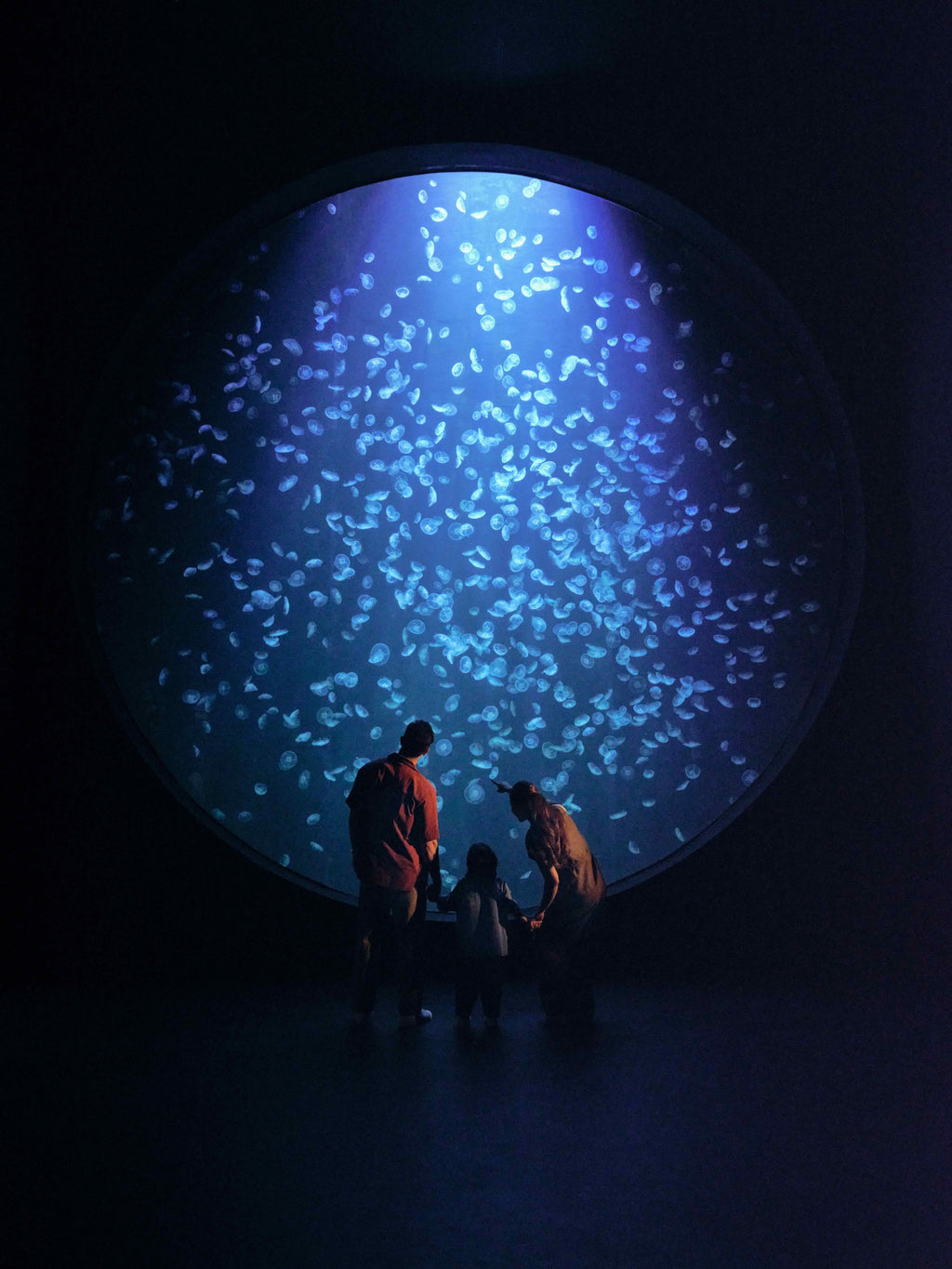 Singapore Oceanarium Admission Ticket
