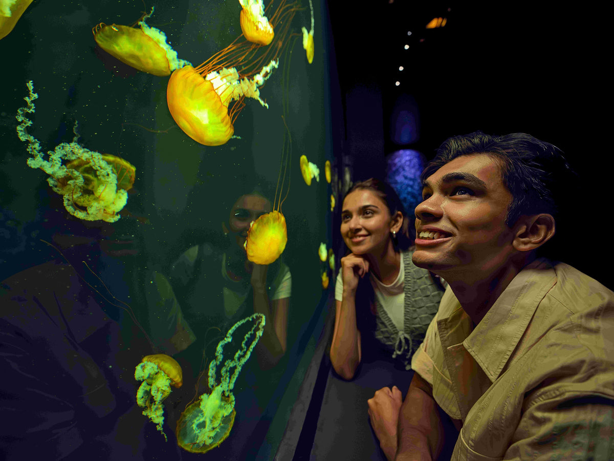 Singapore Oceanarium Admission Ticket