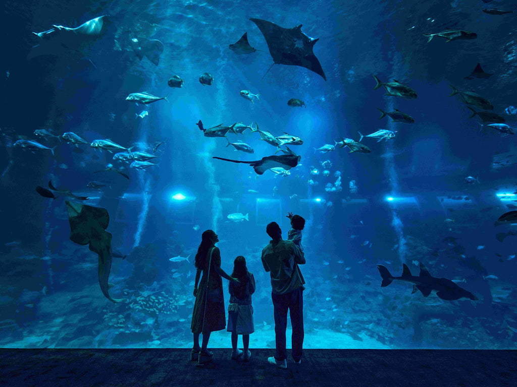 Singapore Oceanarium Admission Ticket