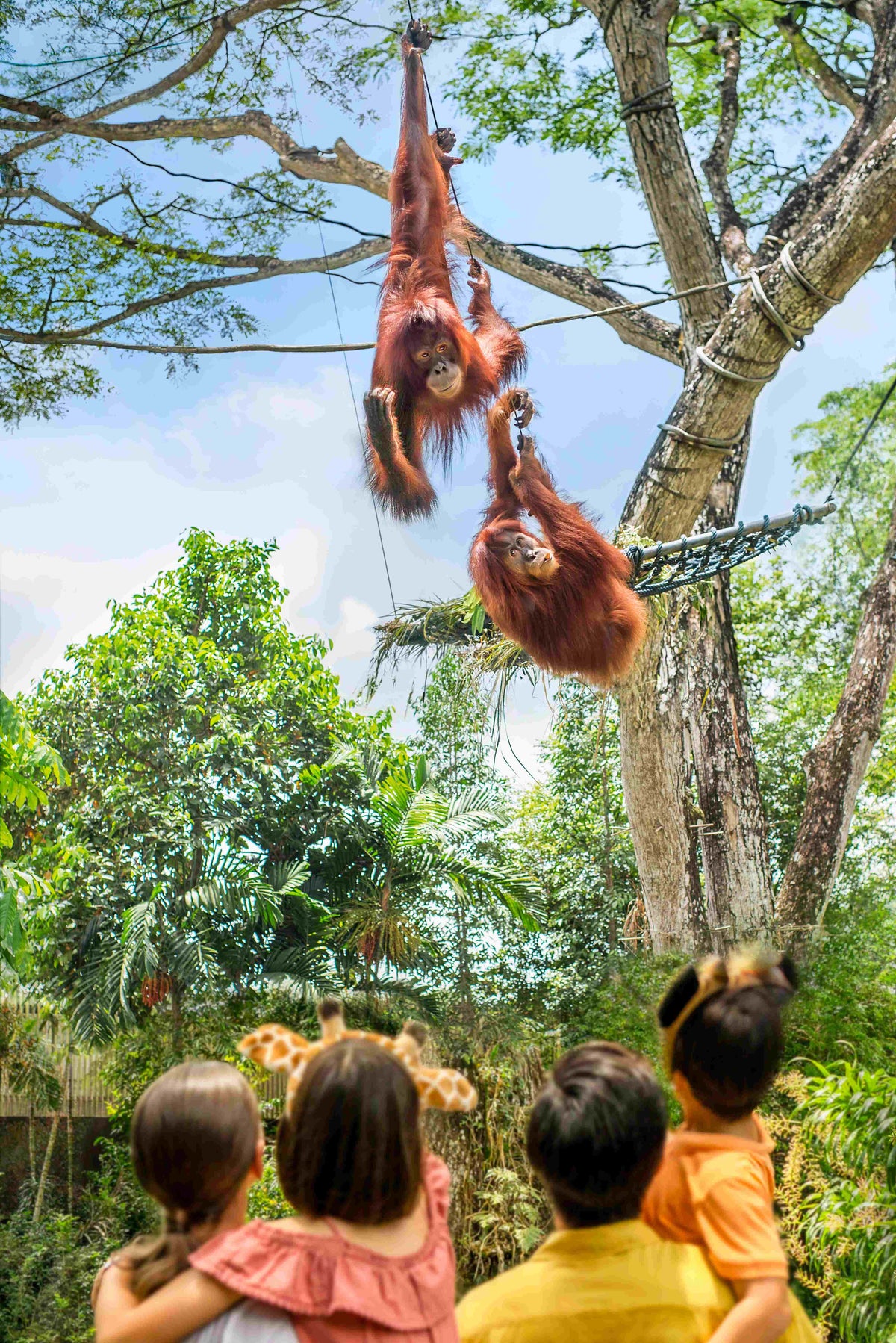 Singapore Zoo Admission Ticket