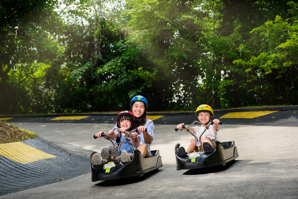 Skyline Luge with Skyride