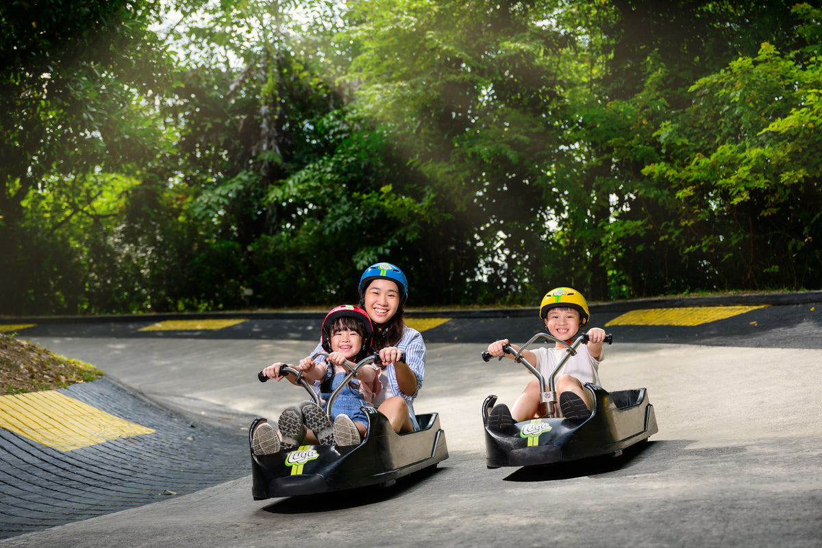 Skyline Luge with Skyride