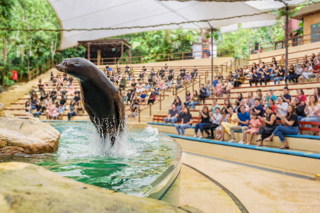 Singapore Zoo Admission Ticket