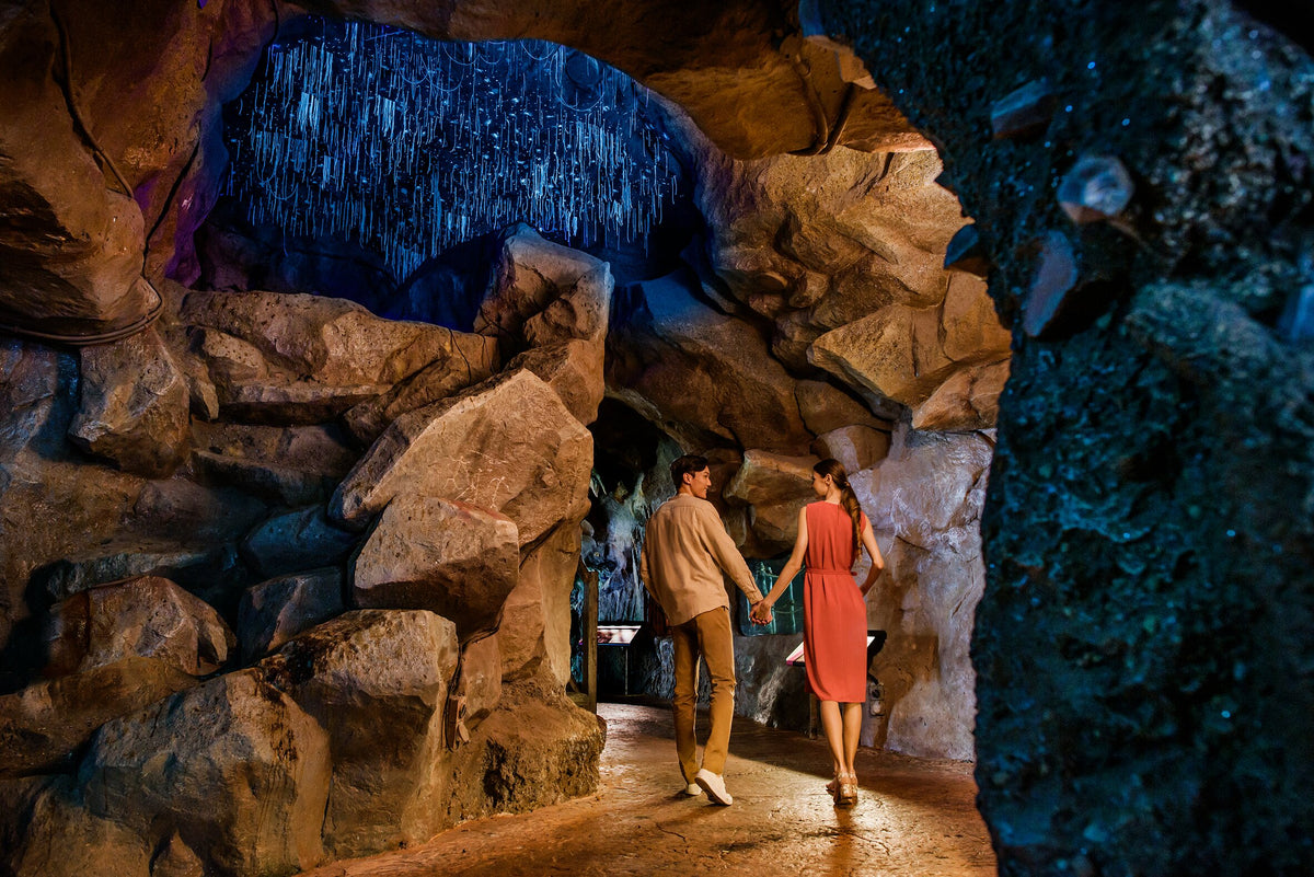 Night Safari (including Tram Ride) Admission Ticket