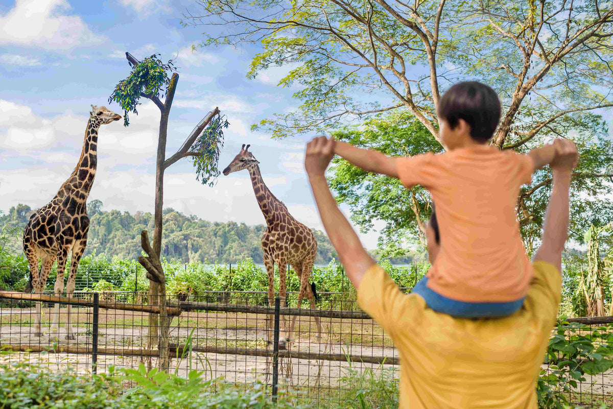 Singapore Zoo Admission Ticket