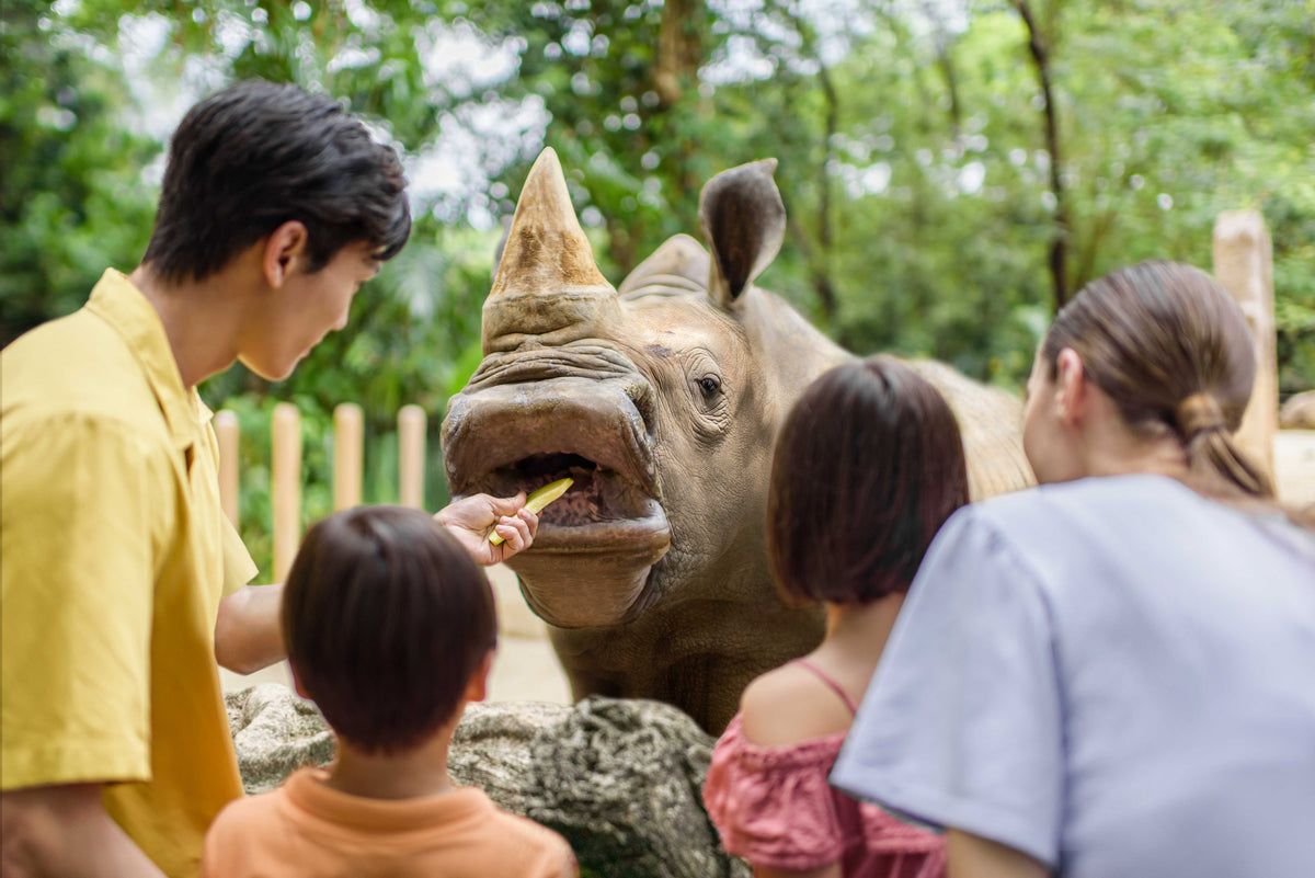 Singapore Zoo Admission Ticket